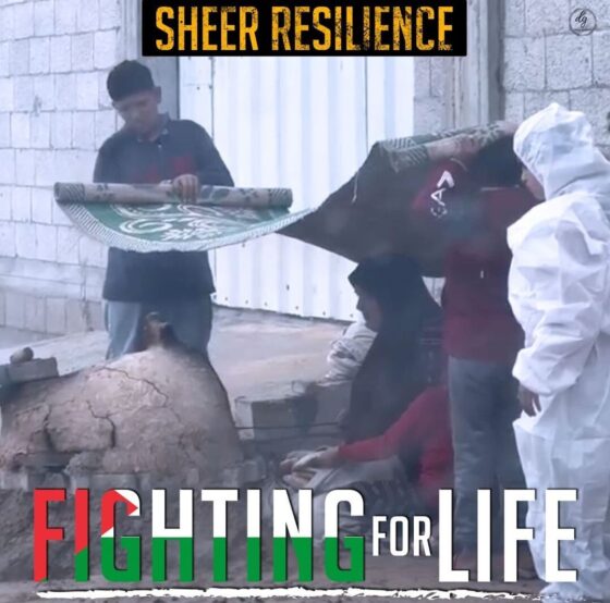 SHEER RESILIENCE

FIGHTING FOR LIFE