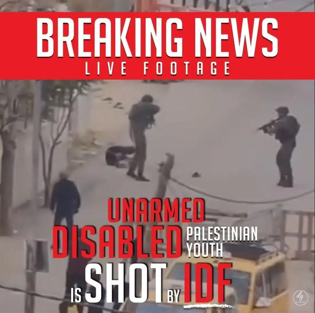 407937431_1040636503813387_4101030592425870927_n-e1701874644457