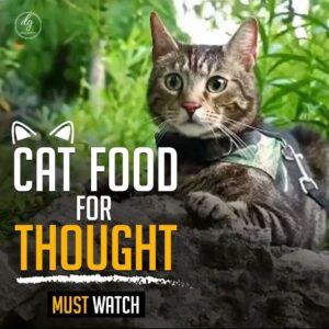 CAT FOOD FOR THOUGHT
MUST WATCH