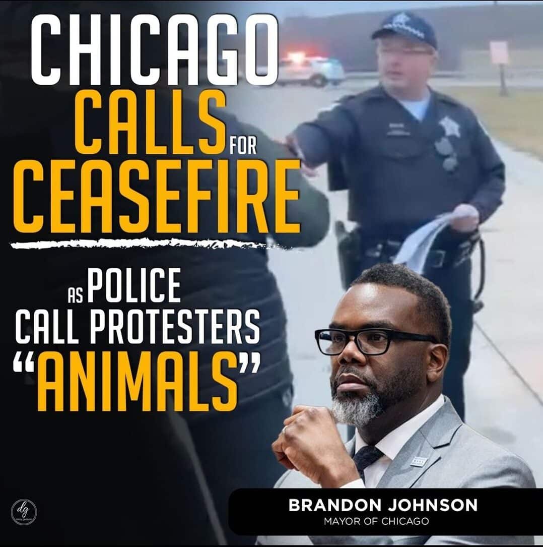 CHICAGO-CALLS-FOR-CEASEFIRE-AS-POLICE-CALLS-PROTETERS-ANIMALS-e1706860746467