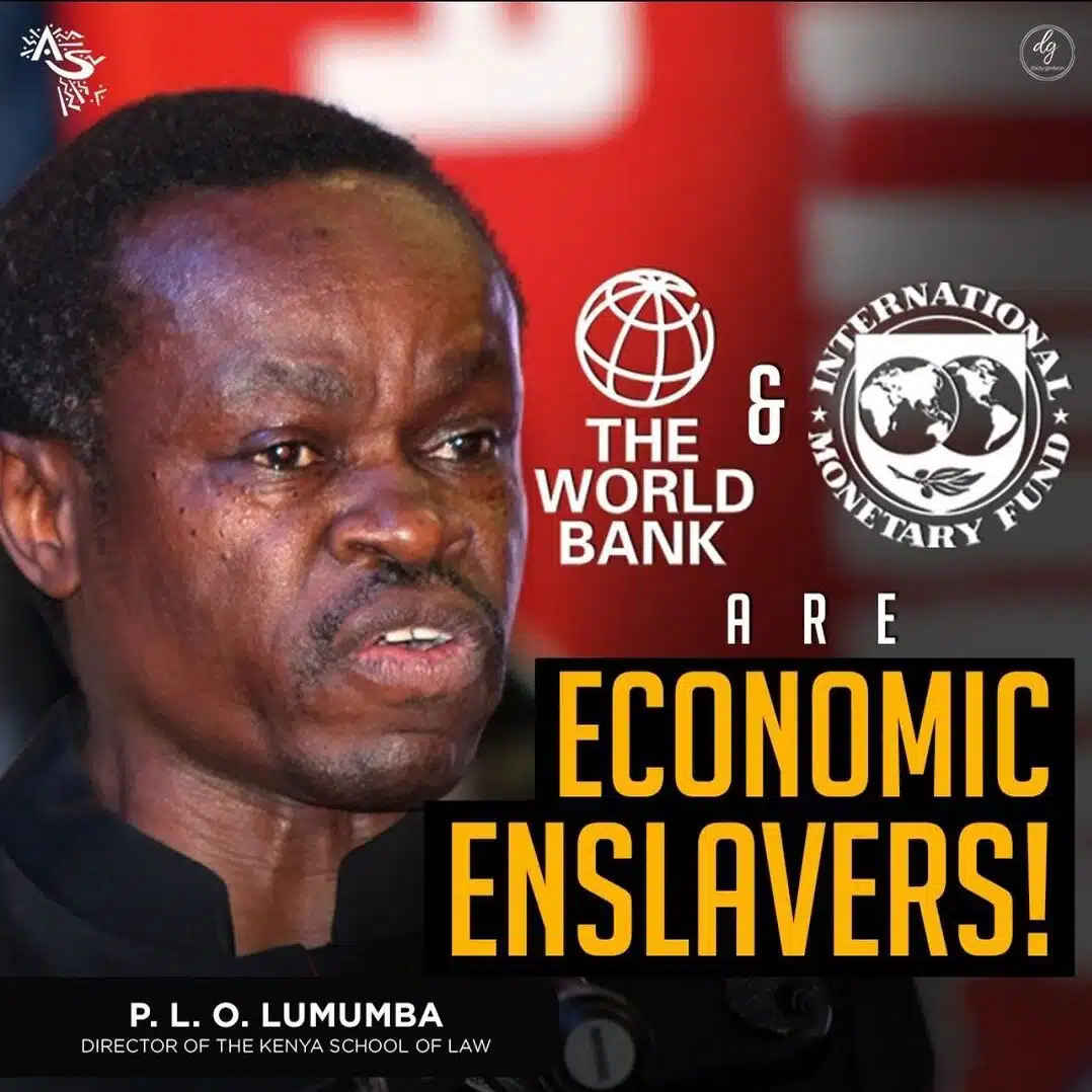 THE-WORLD-BANK-INTERNATIONAL-MONETARY-FUND-ARE-ECONOMIC-ENSLAVERS-e1709537645784