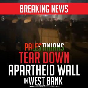 BREAKING NEWS PALESTINIANS TEAR DOWN APARTHEID WALL IN WEST BANK