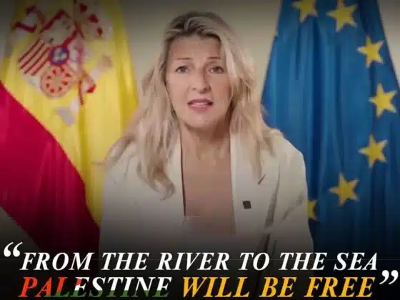 SPANISH VICE PRESIDENT DECLARES