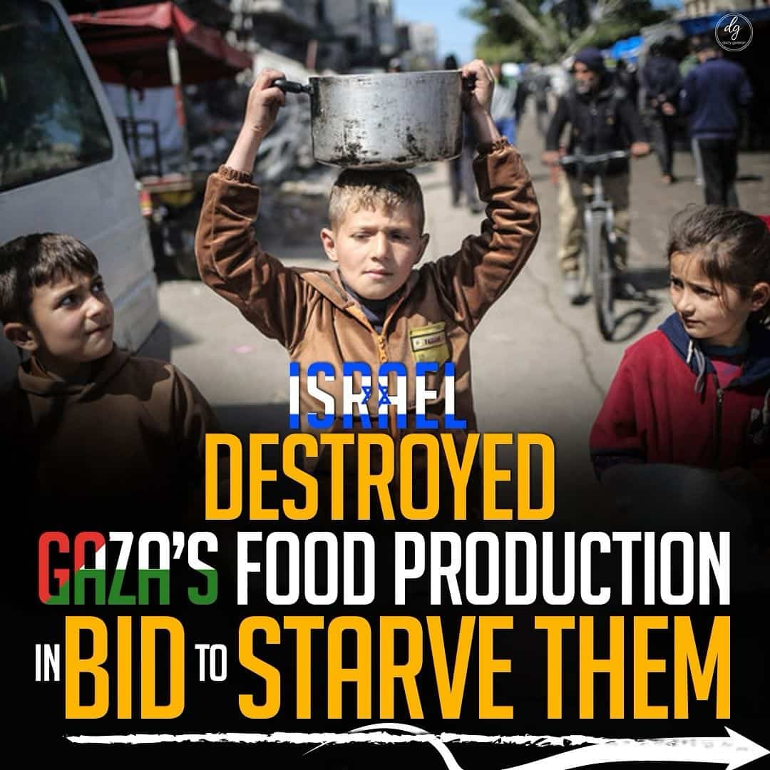 ISRAEL DESTROYED GAZA'S FOOD PRODUCTION IN BID TO STARVE THEM