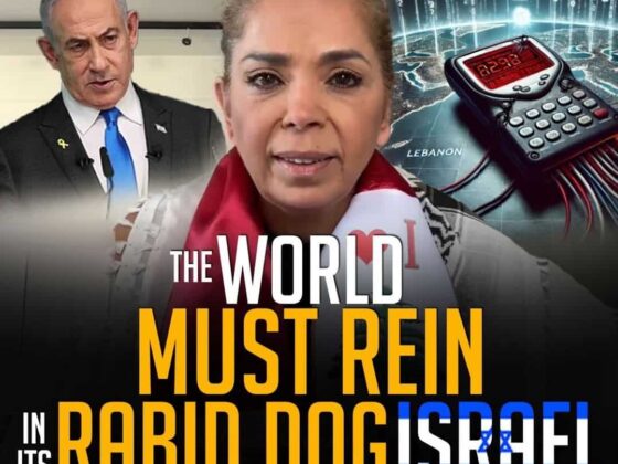 THE WORLD MUST REIN IN ITS RABID DOG ISRAEL