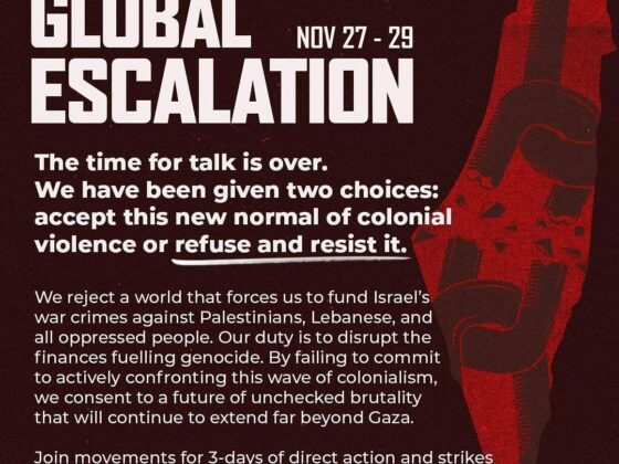 GLOBAL ESCALATION - NOV 27-29 The time for talk is over. We have been given two choices: accept this new normal of colonial violence or refuse and resist it.