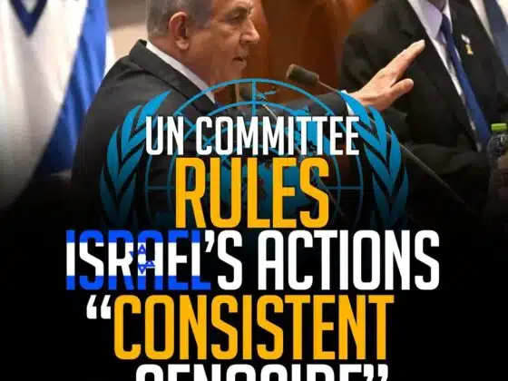 UN COMMITTEE RULES ISRAEL'S ACTIONS "CONSISTENT WITH GENOCIDE"