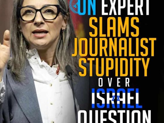 UN EXPERT SLAMS JOURNALIST STUPIDITY OVER ISRAEL QUESTION