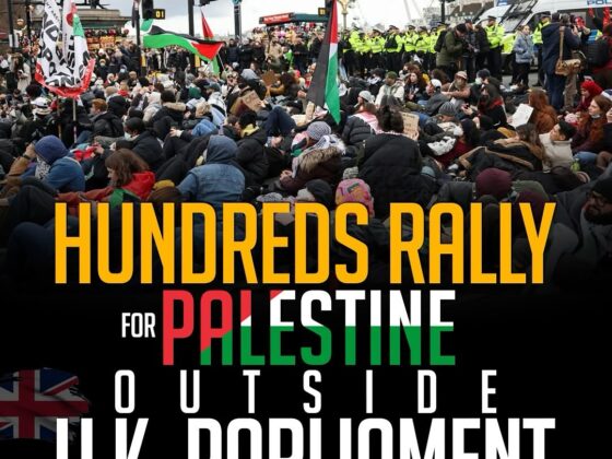 Hundreds Rally for Palestine Outside U.K. Parliament | Support for Justice & Freedom