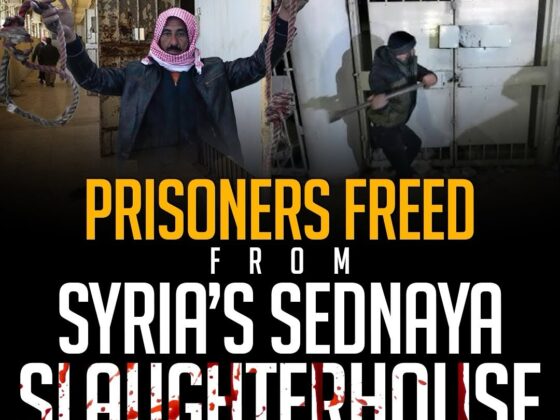 Location Syria: Prisoners Freed from Sednaya's Infamous Slaughterhouse