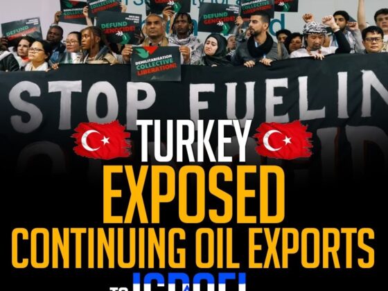TURKEY EXPOSED CONTINUING OIL EXPORTS TO ISRAEL