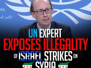 UN Expert Ben Saul Unveils the Illegality of Israel's Strikes on Syria