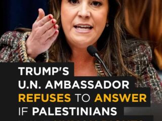 PBS News: Elise Stefanik Considered for U.S. Envoy to UN – Trump's Ambassador Dodges Palestinian Human Rights Question