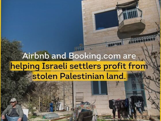 Aj Plus News: Airbnb and Booking.com Profit from Stolen Palestinian Land via Israeli Settlers