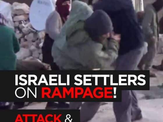 Israeli Settlers Rampage: Attack & Pepper Spray Palestinian Civilians