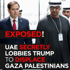 Middle East Eye: EXPOSED! UAE Secretly Lobbied Trump to Displace Gaza Palestinians