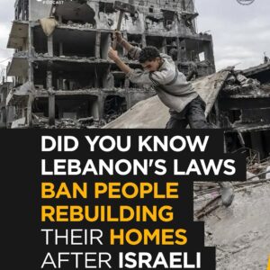 Reel Talk Podcast: Did You Know Lebanon’s Laws Prevent Rebuilding Homes Destroyed by Israel?