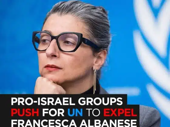The NewArab: UN Special Rapporteur Francesca Albanese on Palestine & How You Can Help Counter Pro-Israel Groups Pushing for Her Expulsion