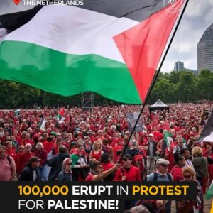 100,000 March for Palestine in the Netherlands – Massive Protest Erupts