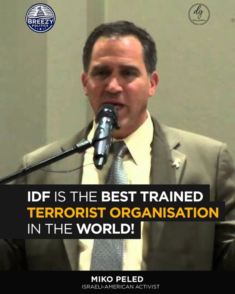 EXCLUSIVE: Israeli-American Activist Miko Peled Slams IDF as ‘Top Terrorist Force’ | Breezy Politics