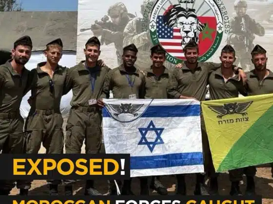Exposed: Moroccan Forces Conduct Joint Military Ops with Israel