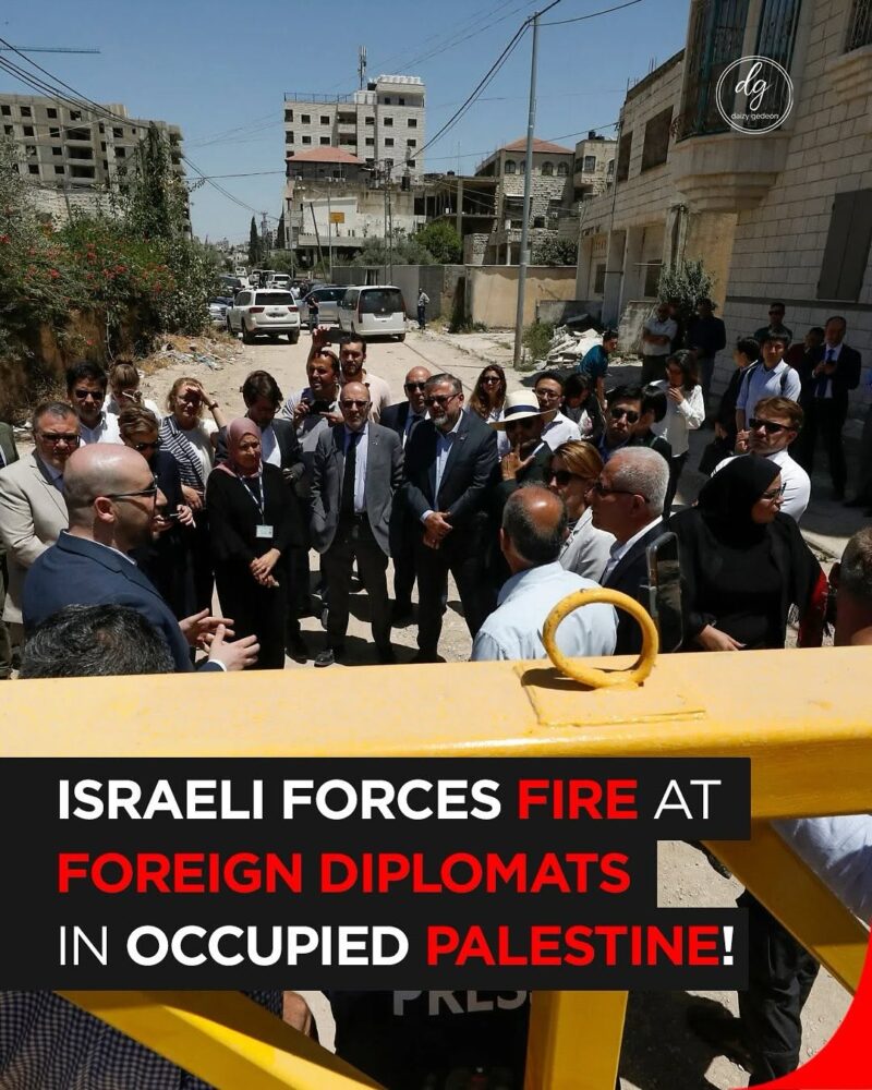 Israeli Forces Accused of Firing at Foreign Diplomats in Occupied Palestine