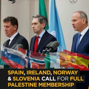 Spain, Ireland, Norway & Slovenia Back Full UN Membership for Palestine – WAFA