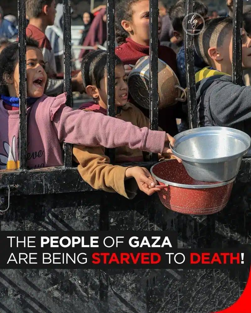 The People of Gaza Are Being Starved to Death: Urgent Humanitarian Crisis Unfolds