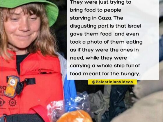 Israel Seizes 12 International Aid Workers from Gaza-Bound Ship in International Waters, Holds Them Hostage While Gaza Starves