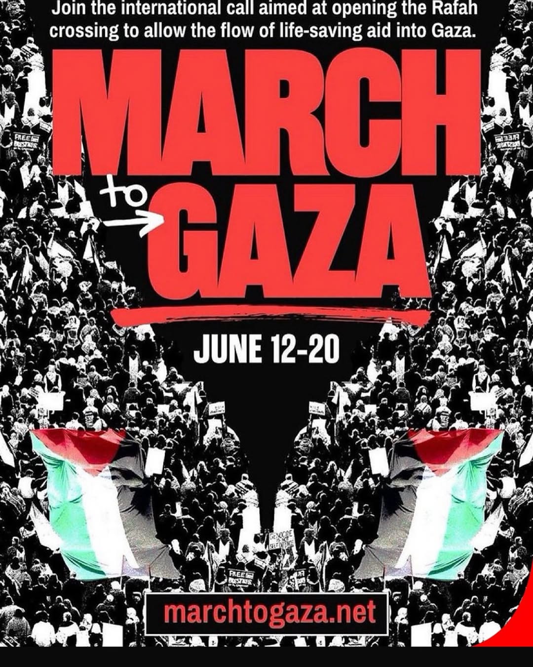 Join the Global Call to Open Rafah Crossing and Deliver Life-Saving Aid to Gaza | March to Gaza June 12-20