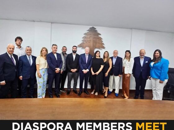Lebanese Diaspora Demands Voting Rights: Foreign Minister Meeting Sparks 2026 Election Push
