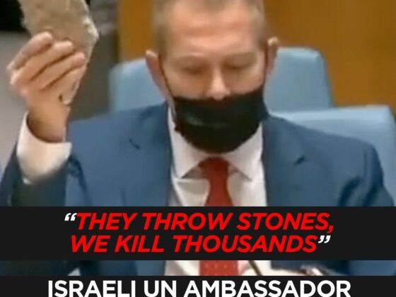 🔥 “They Throw Stones, We Kill Thousands” – Israeli UN Ambassador’s Shocking October 2023 Justification of Massacres in Gaza