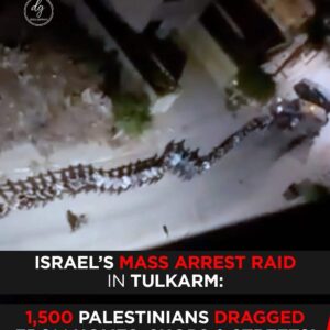 1,500 Palestinians Dragged From Homes, Shops & Streets in Israel’s Tulkarm Mass Arrest Raid