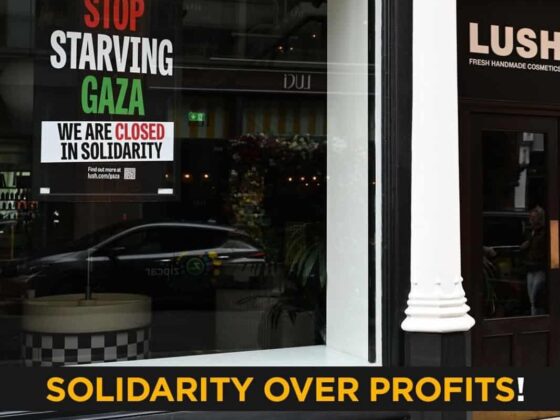 Breezy Politics: ✊ #SupportLush — LUSH UK Shuts Stores in Protest Against Arms Sales to Israel