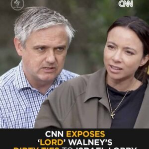 CNN Exposes Lord Walney: UK Government Adviser’s Secret Ties to Israel Lobby Revealed