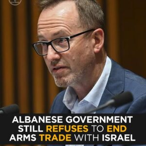 “Blood on Australia’s Hands”: Albanese Government Refuses to End Arms Trade with Israel | David Shoebridge