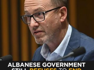 “Blood on Australia’s Hands”: Albanese Government Refuses to End Arms Trade with Israel | David Shoebridge