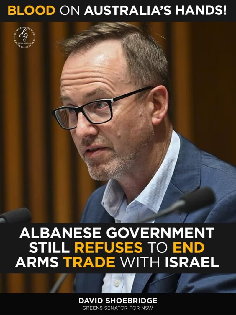 “Blood on Australia’s Hands”: Albanese Government Refuses to End Arms Trade with Israel | David Shoebridge