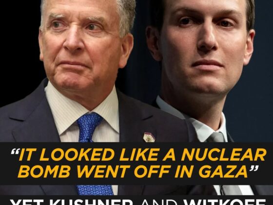 “IT LOOKED LIKE A NUCLEAR BOMB WENT OFF IN GAZA” — Yet Kushner and Witkoff Still Refuse to Call It Genocide 2 “IT LOOKED LIKE A NUCLEAR BOMB WENT OFF IN GAZA” — Yet Kushner and Witkoff Still Refuse to Call It Genocide