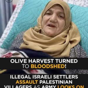 Olive Harvest Turns to Bloodshed: Israeli Settlers Attack Palestinian Farmers as Army Watches | TRT World