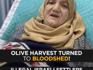 Olive Harvest Turns to Bloodshed: Israeli Settlers Attack Palestinian Farmers as Army Watches | TRT World