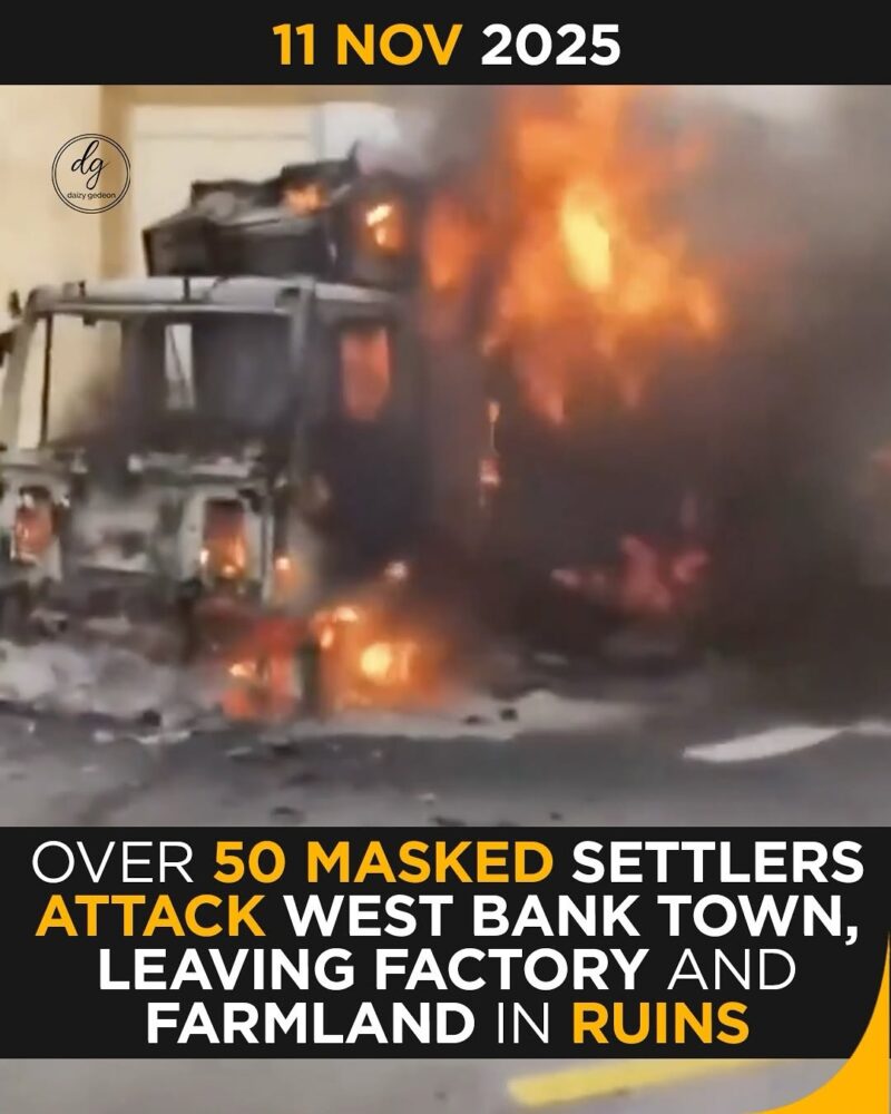 11 Nov 2025 — Over 50 Masked Israeli Settlers Torch West Bank Factory and Farmland in Brutal Night Attack
