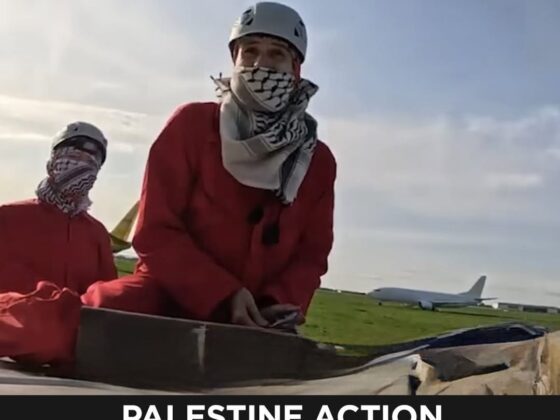 AJ+ Investigation: Ireland Accused of Allowing U.S. Weapons to Reach Israel