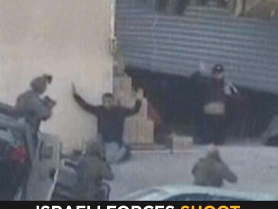 Al Jazeera: Israeli Forces Execute Two Unarmed Palestinians After Surrendering