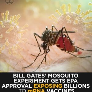 Bill Gates’ Mosquito Experiment Gets Epa Approval Exposing Billions To Mrna Vaccines Without Consent