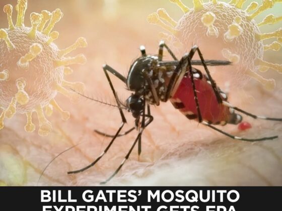 Bill Gates' Mosquito Experiment Gets Epa Approval Exposing Billions To Mrna Vaccines Without Consent