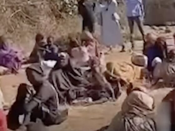 Genocide in Sudan: 62,000 Flee Al-Fasher in Just 3 Days as Civilians Describe RSF Atrocities — TRT World Report