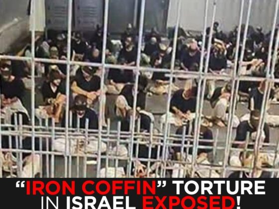 “Iron Coffin” Torture Inside Israel Exposed: Palestinian Prisoners Speak Out