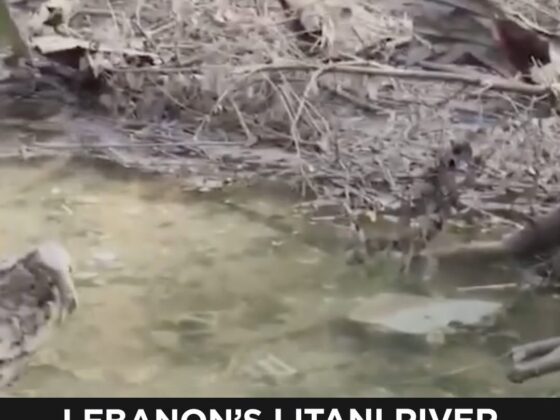Lebanon’s Litani River Hit by Airstrikes as Israel Claims to Target ‘Terr*rists’