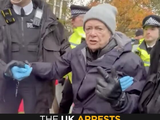 “Shame on the UK”: Police Arrest Grandmothers for Holding ‘I Oppose Genocide’ Signs